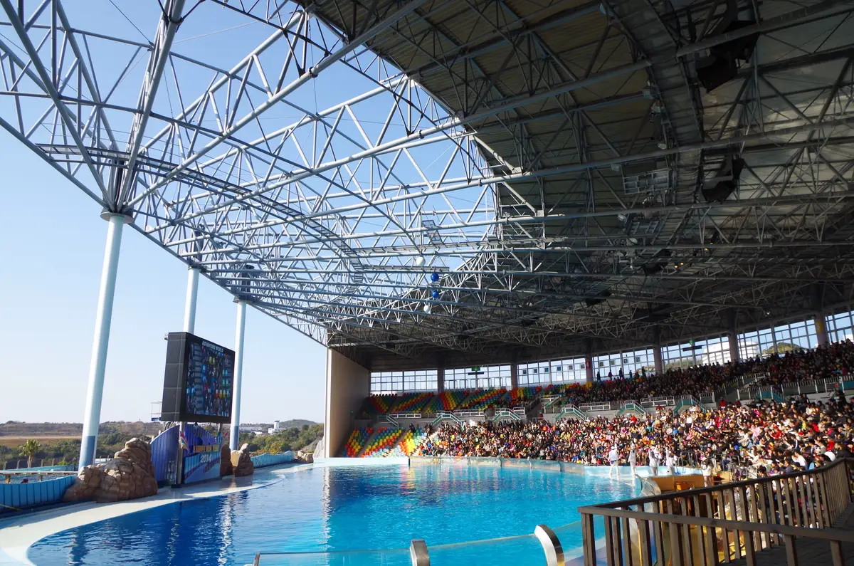 Big Ocean, the marine-mammal show stadium at Adventure World, mid-show with a full crowd