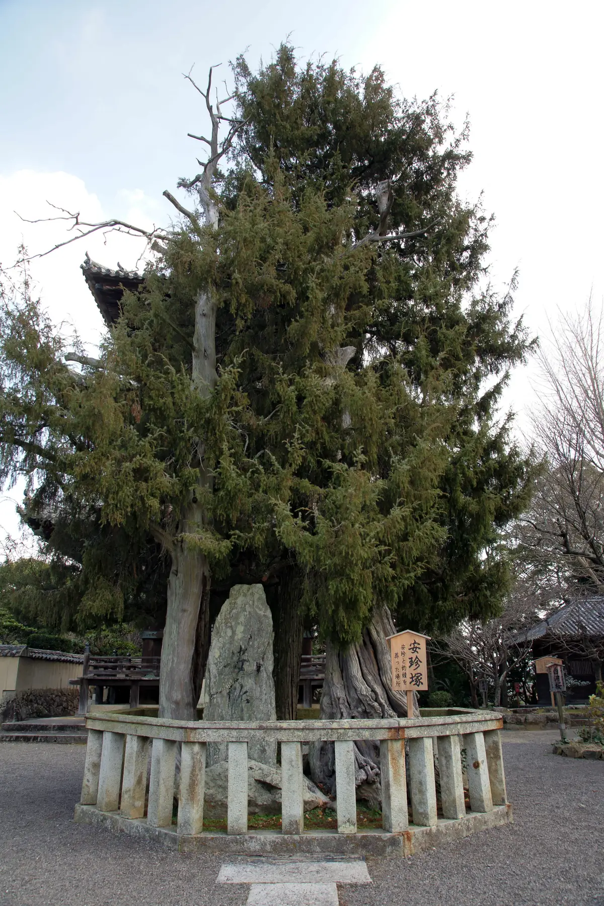 道成寺境內與安珍清姬傳說相關的石碑「安珍塚」