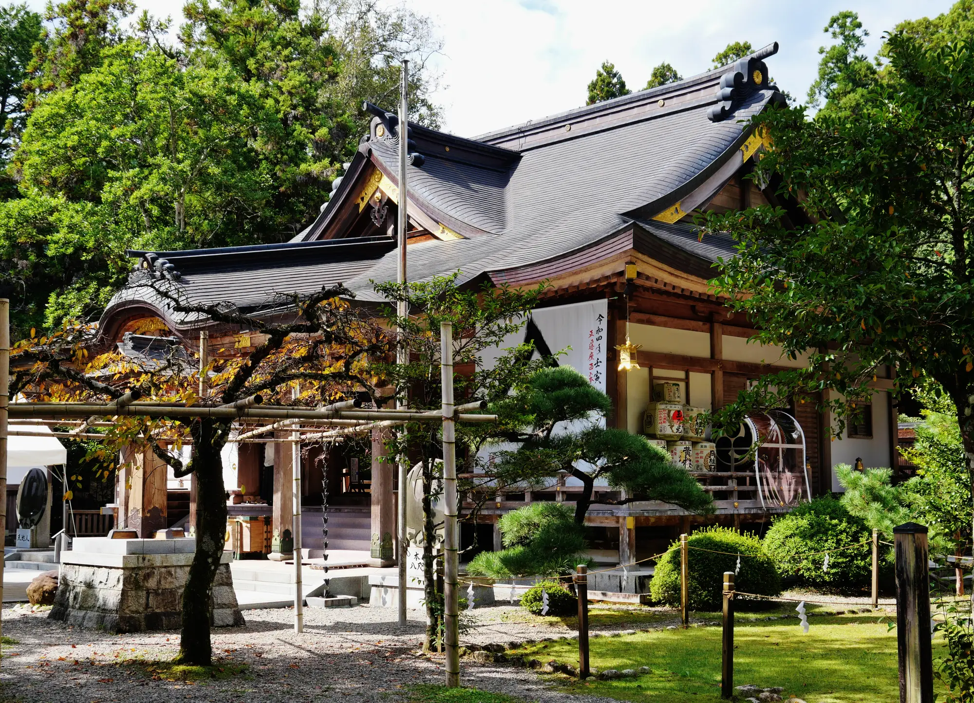 The cypress-bark roofed worship hall of Kumano Hongu Taisha, framed by trees, Tanabe, Wakayama