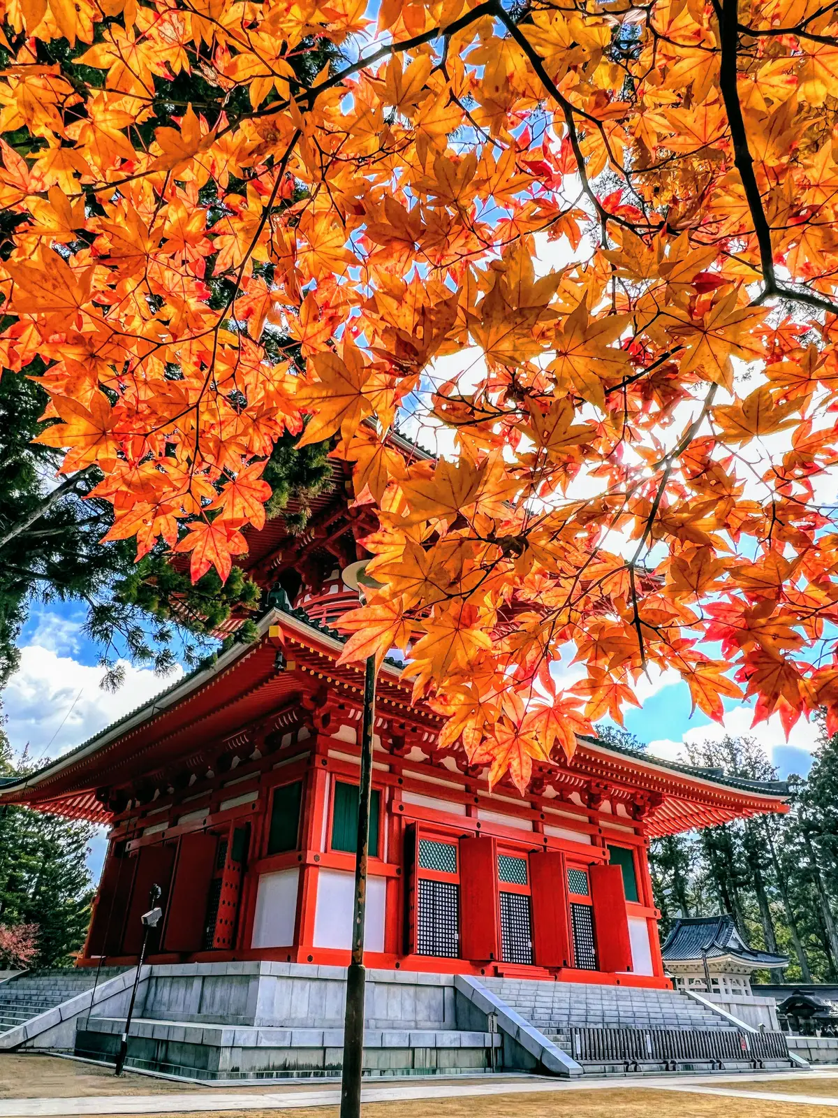 Orange maple leaves in front of the vermilion Konpon Daito pagoda at Danjo Garan