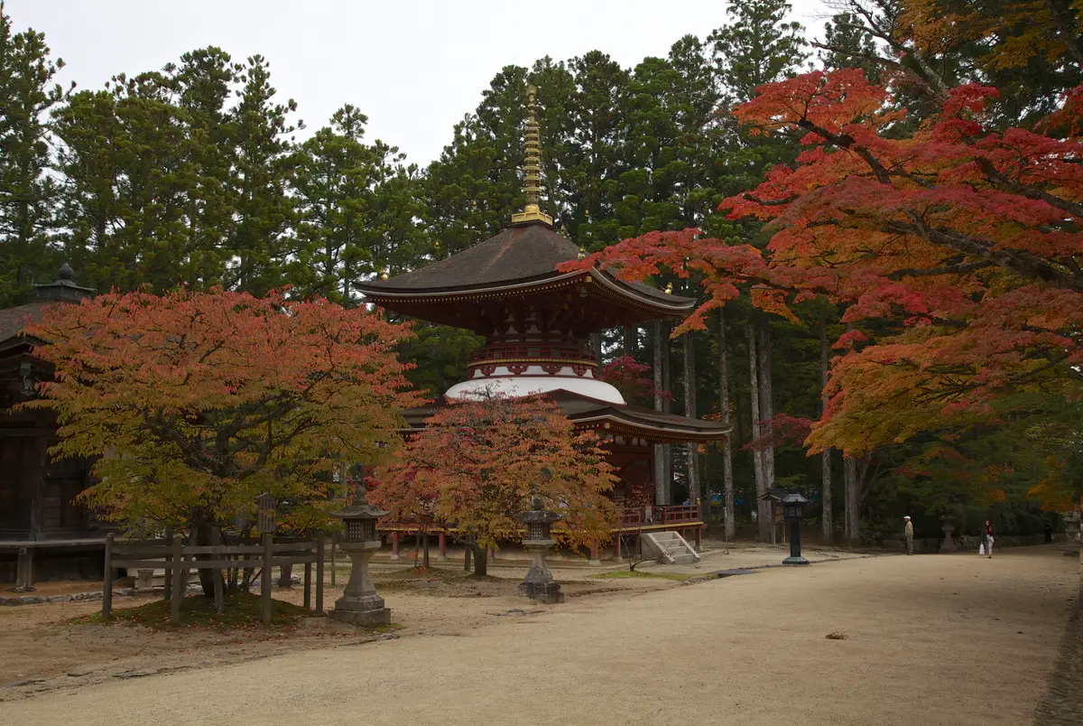 Red maple trees around the Toto (East Pagoda) at Danjo Garan