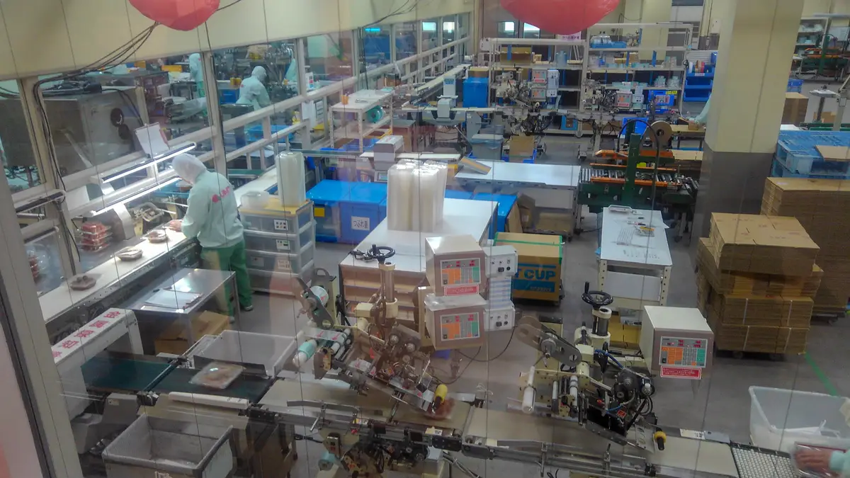 The umeboshi packing floor seen through glass at a visitor facility in Minabe