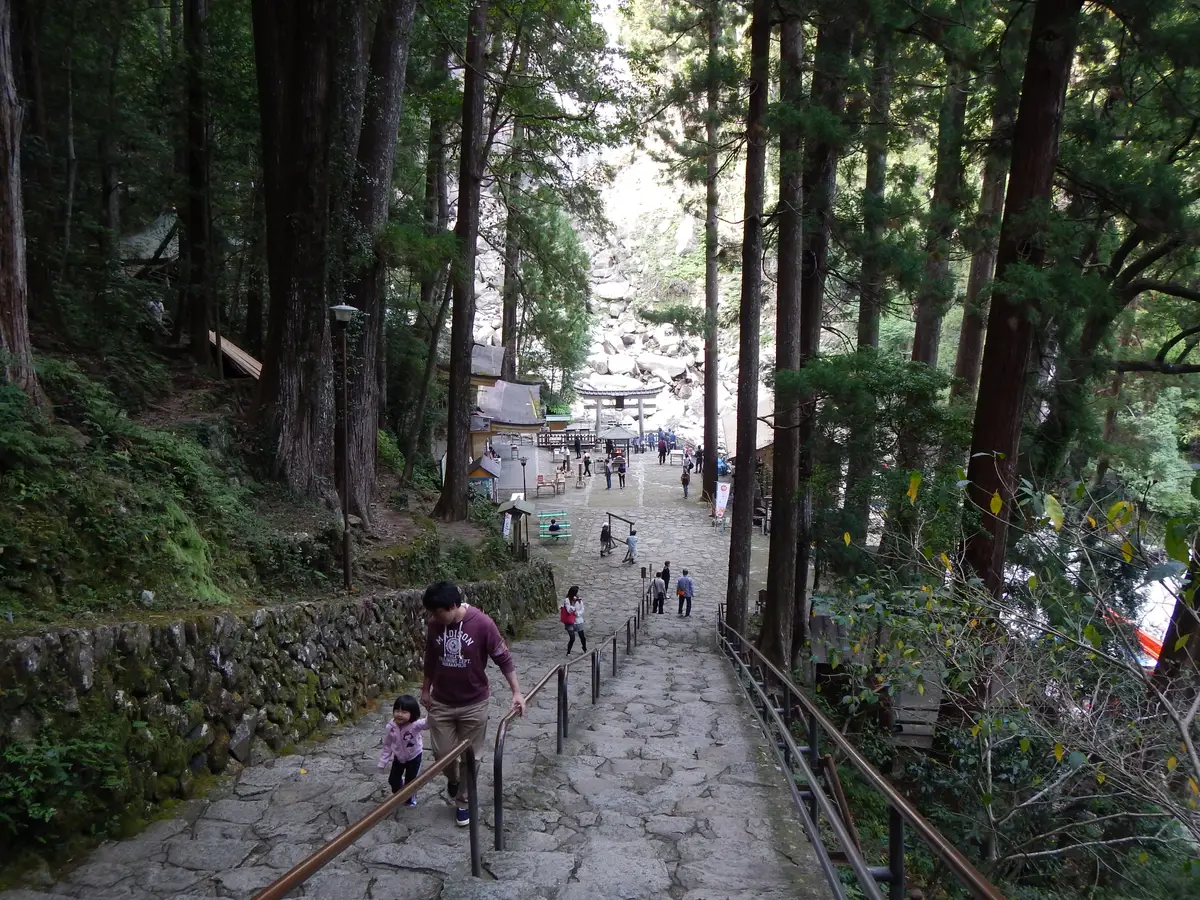 The stone stairway through tall cedars leading down to Hiro Shrine at the foot of Nachi Falls