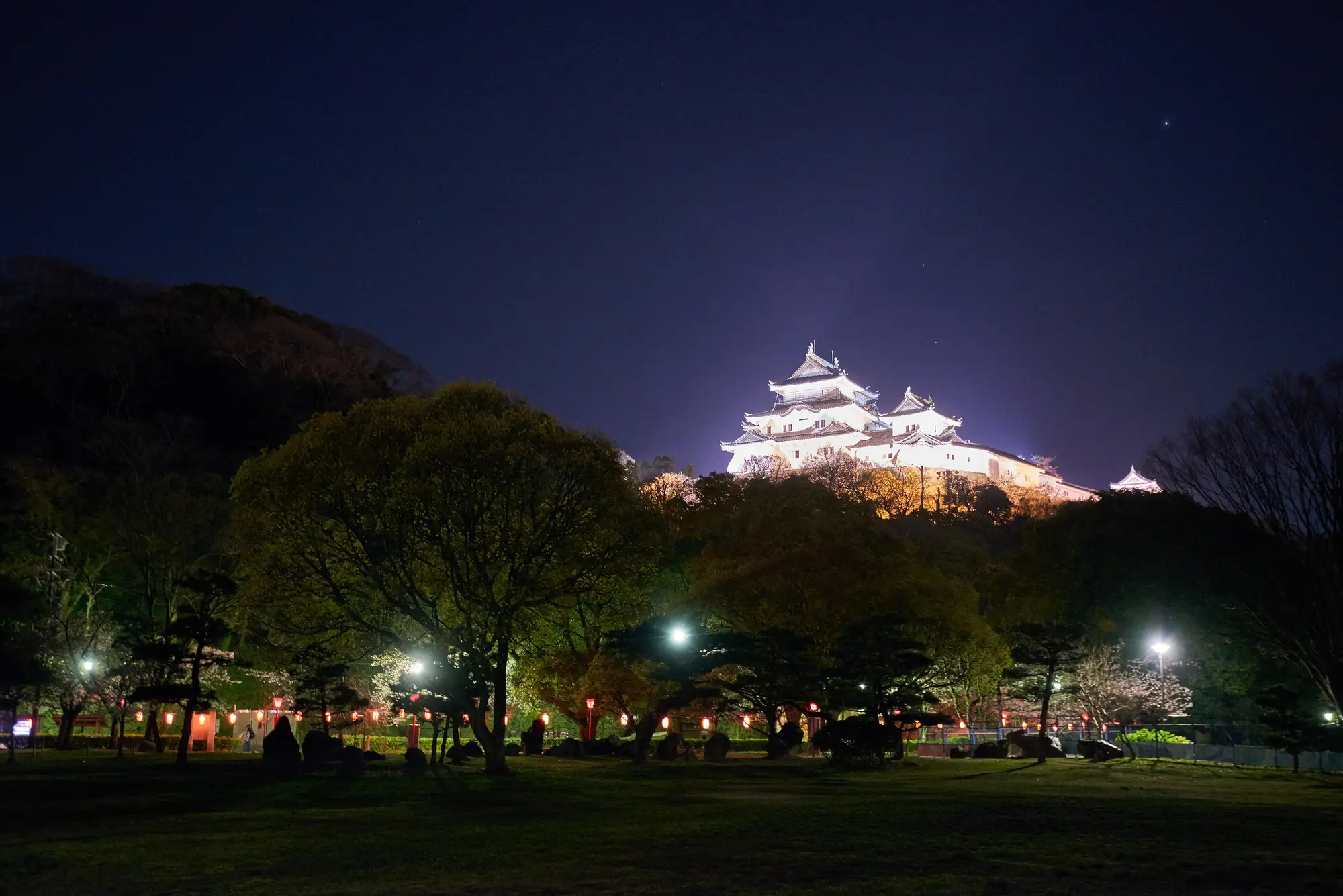 桜の季節、夜にライトアップされた和歌山城